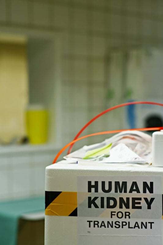 Mehr Organspenden, aber weiter lange Wartelisten: In Deutschland warten mehr als 8.000 Menschen auf ein Spenderorgan. Warum gerade der Osten Deutschlands als Vorbild gilt.