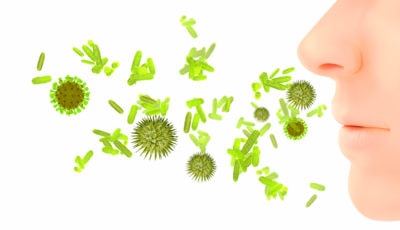 3d rendering illustration of pollen, virus or influenza infection