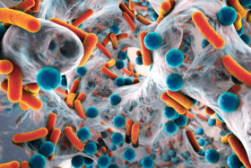 MRSA, Bakterien, Antibiotika, Resistenz
