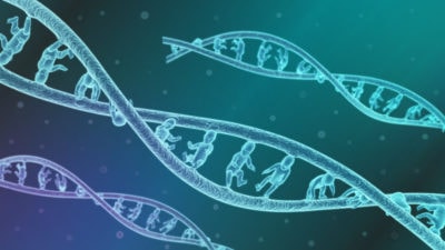 Nanotechnologische Eingriffe in das menschliche Erbgut sind technisch seit einigen Jahren möglich. Nach Ansicht von führenden Forscher fehlen aber wissenschaftliche Erkenntnisse zu ihrem sicheren Einsatz. Sie plädieren für ein Moratorium.