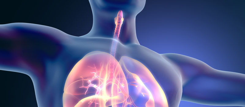 Anlässlich des Kongresses der European Respiratory Society wurden brandneue Ergebnisse klinischer Studien vorgestellt, die teilweise erst in der Zukunft die Praxis erreichen werden.