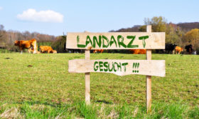 Schild Landarzt gesucht