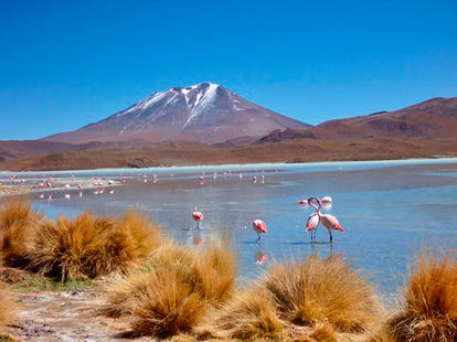 Bolivien See