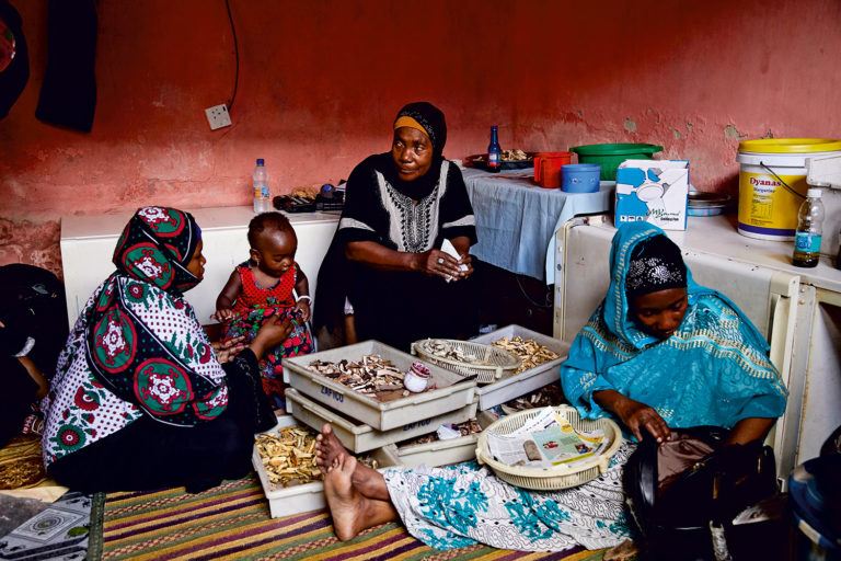 Heilerin Mwanahija Mzee (Mitte) wickelt Wurzeln in Zeitungspapier