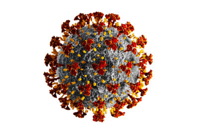 Corona Virus