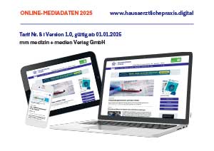 Online-Mediadaten 2025