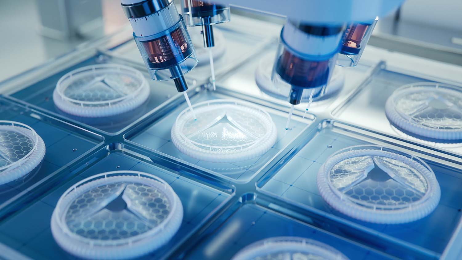 Bioprinting boomt: Haut, Knorpel, sogar Ohrmuscheln entstehen im 3D-Drucker. In das Verfahren werden große Hoffnungen gesetzt. 